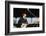 John Lennon Playing Guitar-null-Framed Photographic Print