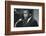 John Lewis at meeting of American Society of Newspaper Editors, Washington, DC-Marion S. Trikosko-Framed Photographic Print