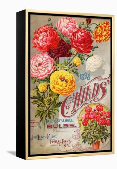 John Lewis Child's 1898 Fall Catalogue: Bulbs-null-Framed Stretched Canvas