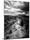 Premium Photographic Print
