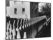 Photographic Print