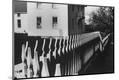 Photographic Print