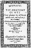 Title Page of Euphues or the Anatomy of Wit-John Lyly-Framed Giclee Print