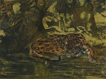 'A Jaguar', c1900-John MacAllan Swan-Framed Giclee Print