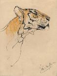 'A Jaguar', c1900-John MacAllan Swan-Framed Giclee Print