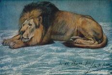 'Head of a Tiger', c1910-John MacAllan Swan-Giclee Print