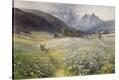 Stretched Canvas Print