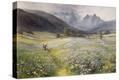 Stretched Canvas Print