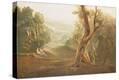 Stretched Canvas Print