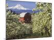 Premium Photographic Print