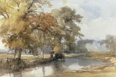 Trees on a Riverbank, Eaton, Norwich, 1847-John Middleton-Giclee Print