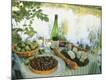 Photographic Print