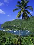 The Pitons, St. Lucia, Caribbean, West Indies-John Miller-Photographic Print