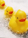 Rubber Ducks in Bath-John Miller-Photographic Print
