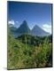 Photographic Print