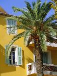 Yellow House and Palm Tree, Villefranche Sur Mer, Cote d'Azur, Provence, France, Europe-John Miller-Photographic Print