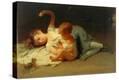 Stretched Canvas Print