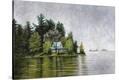 Stretched Canvas Print