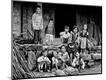 Photographic Print