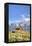 John Moulton Homestead-Richard Maschmeyer-Framed Premier Image Canvas