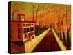 Stretched Canvas Print