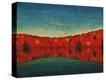 Stretched Canvas Print