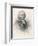 John Newton Sailor-Heath Robinson-Framed Photographic Print