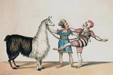 Grimaldi and the Alpaca, in the Popular Pantomime of the Red Dwarf, Published 1813 in London-John Norman-Mounted Giclee Print