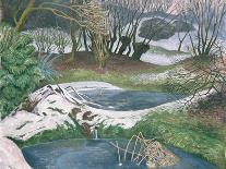 Frozen Ponds-John Northcote Nash-Giclee Print