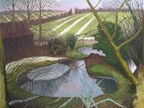 Frozen Ponds-John Northcote Nash-Giclee Print