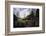 John Oliver Cabin, Great Smoky Mountains NP, Tennessee, USA-Jerry Ginsberg-Framed Photographic Print