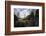 John Oliver Cabin, Great Smoky Mountains NP, Tennessee, USA-Jerry Ginsberg-Framed Photographic Print