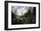 John Oliver Cabin, Great Smoky Mountains NP, Tennessee, USA-Jerry Ginsberg-Framed Photographic Print