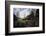 John Oliver Cabin, Great Smoky Mountains NP, Tennessee, USA-Jerry Ginsberg-Framed Photographic Print