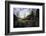 John Oliver Cabin, Great Smoky Mountains NP, Tennessee, USA-Jerry Ginsberg-Framed Photographic Print