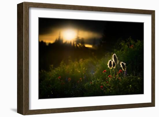 John, Paul, George and Ringo-Ursula Abresch-Framed Photographic Print