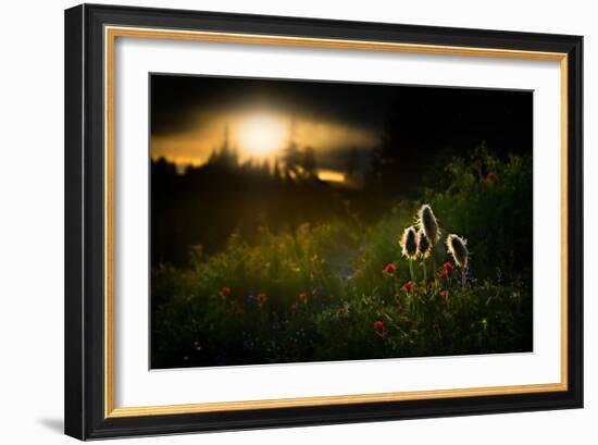 John, Paul, George and Ringo-Ursula Abresch-Framed Photographic Print