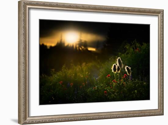 John, Paul, George and Ringo-Ursula Abresch-Framed Photographic Print