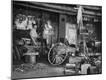 Photographic Print