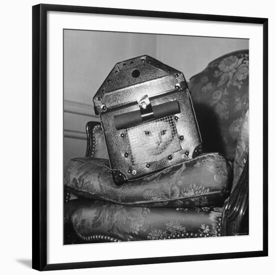 Photographic Print, , large