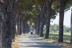 Chia Beach, Cagliari Province, Sardinia, Italy, Mediterranean, Europe-John-Premier Image Canvas