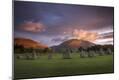 Premium Photographic Print