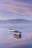 Misty daybreak over Loch Rusky in May, Aberfoyle, The Trossachs, Scotland, United Kingdom, Europe-John Potter-Photographic Print