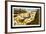 John Powell 1969-LawrenceLong-Framed Art Print