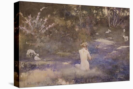 Stretched Canvas Print, , large
