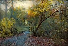 Autumn Walk-John Rivera-Photographic Print
