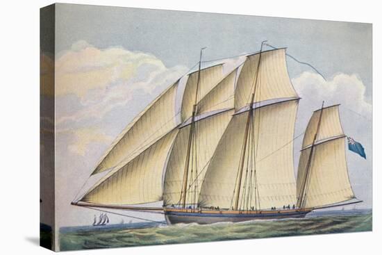 Stretched Canvas Print, , large