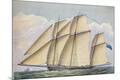 Premium Giclee Print