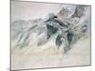Giclee Print