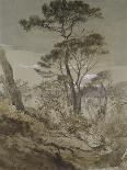 Stone Pines at Sestri-John Ruskin-Giclee Print